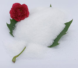 Quod polyacrylamide efficatior est ad lavandum aquam raedam?