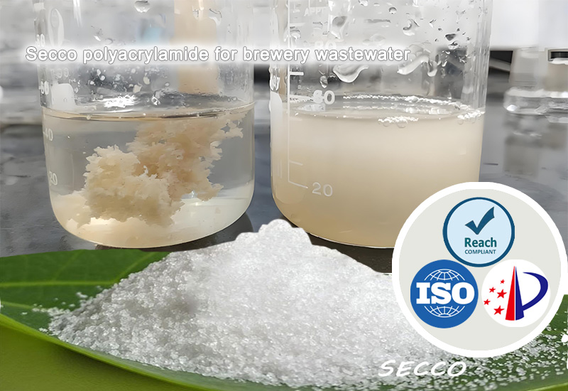 Polyacrylamide (PAM) in Brewery Wastewater Treatment Selection and Effectiveness of Polyacrylamide (PAM)